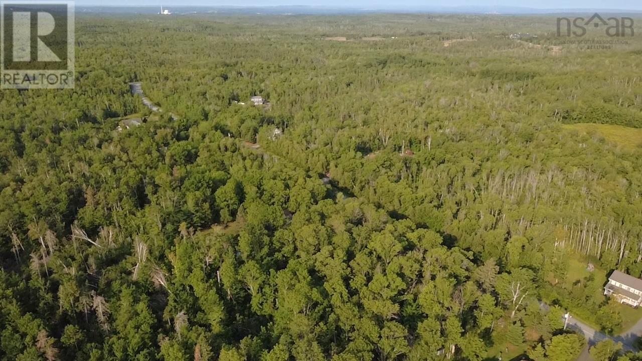 Lot Pictou Landing Road, Chance Harbour, Nova Scotia  B0K 1X0 - Photo 9 - 202520842