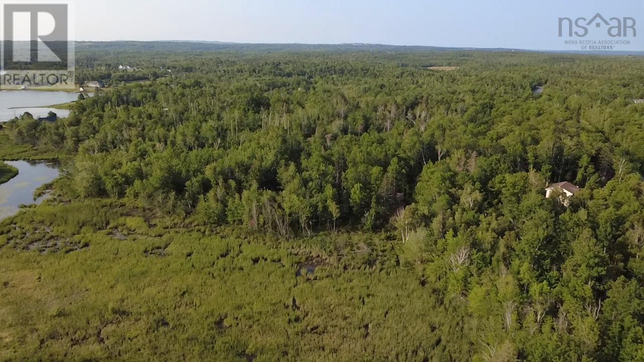 Lot Pictou Landing Road, Chance Harbour, Nova Scotia  B0K 1X0 - Photo 17 - 202520842