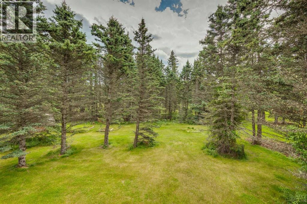 28 Wolf Drive, Rural Rocky View County, Alberta  T3Z 1A3 - Photo 42 - A2246657