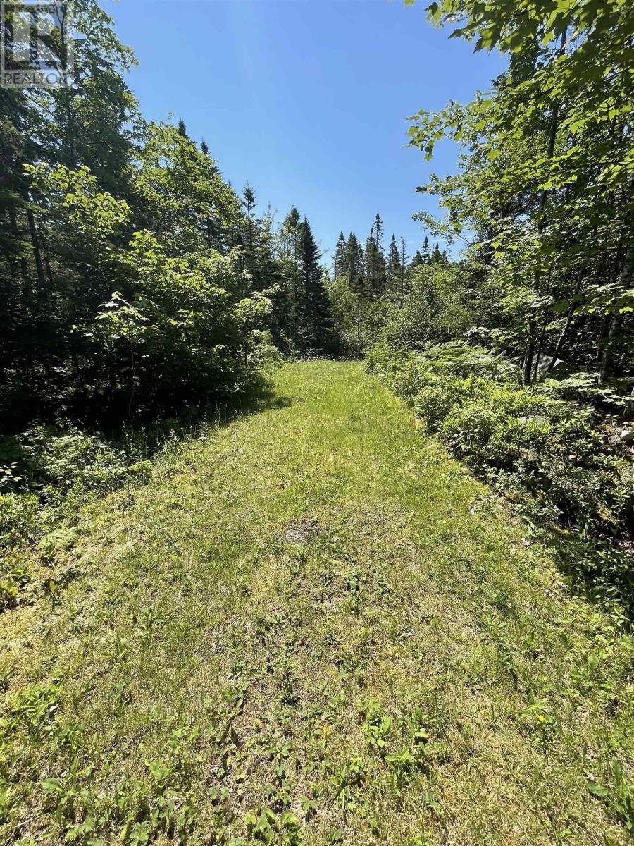Lot 5f Highway 329, East River, Nova Scotia  B0J 1T0 - Photo 20 - 202516307