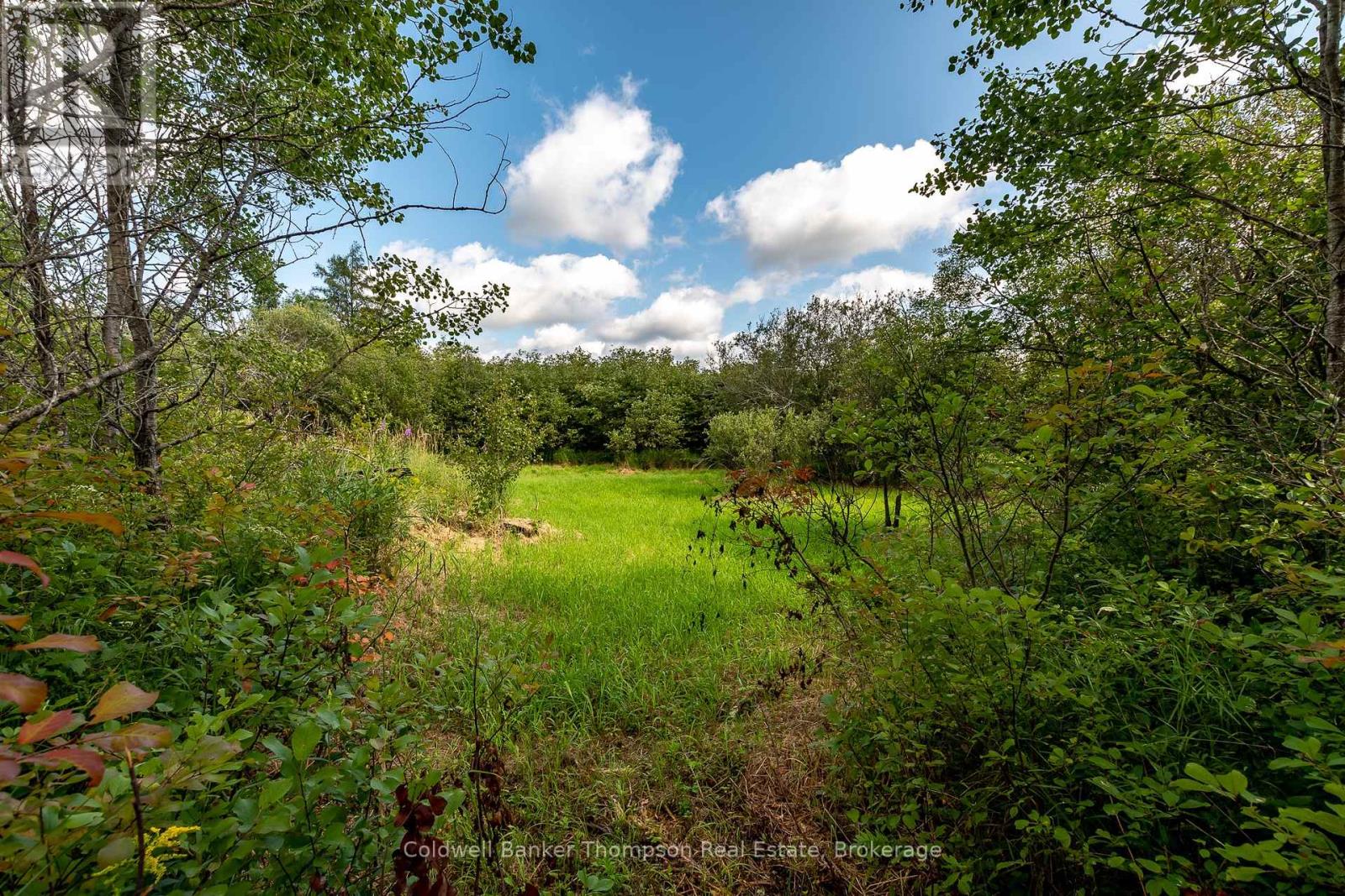 2311 592 Highway N, Perry, Ontario  P0A 1J0 - Photo 6 - X12349615