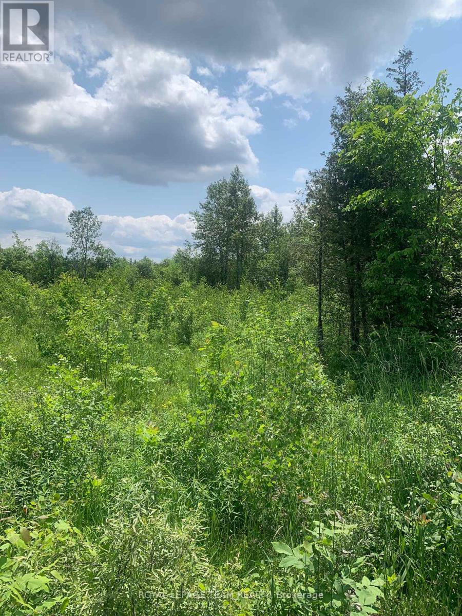 Lt2con7 Buker Road, Merrickville-Wolford, Ontario  K0G 1N0 - Photo 4 - X12202303