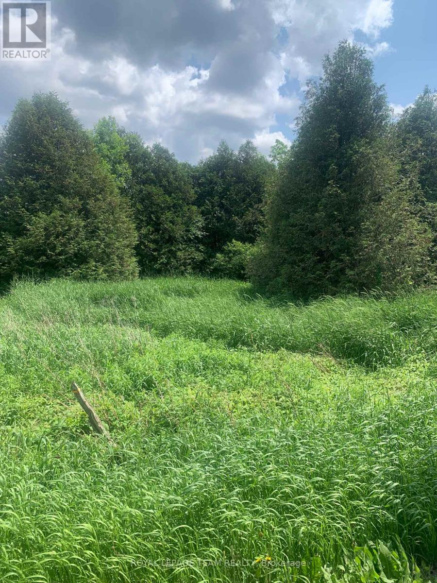 Lt2con7 Buker Road, Merrickville-Wolford, Ontario  K0G 1N0 - Photo 3 - X12202303
