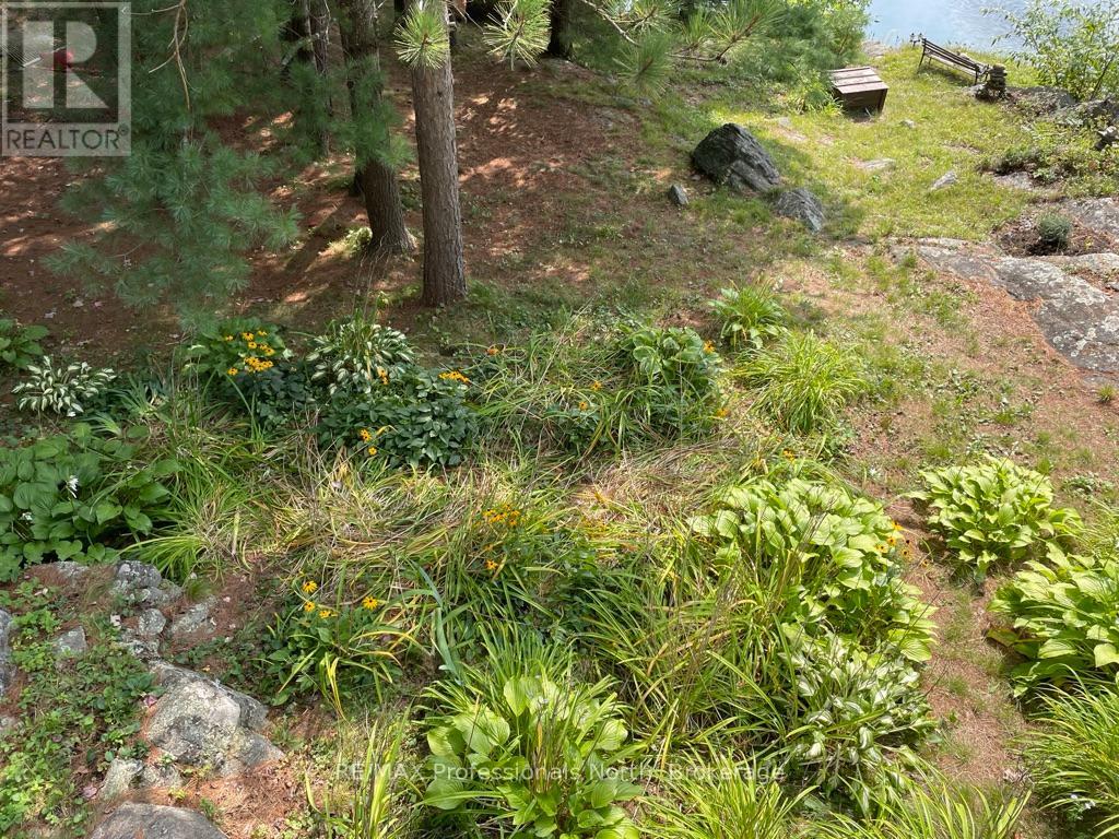 11437 Devils Lake Wao, Minden Hills, Ontario  K0M 2L1 - Photo 38 - X12229851