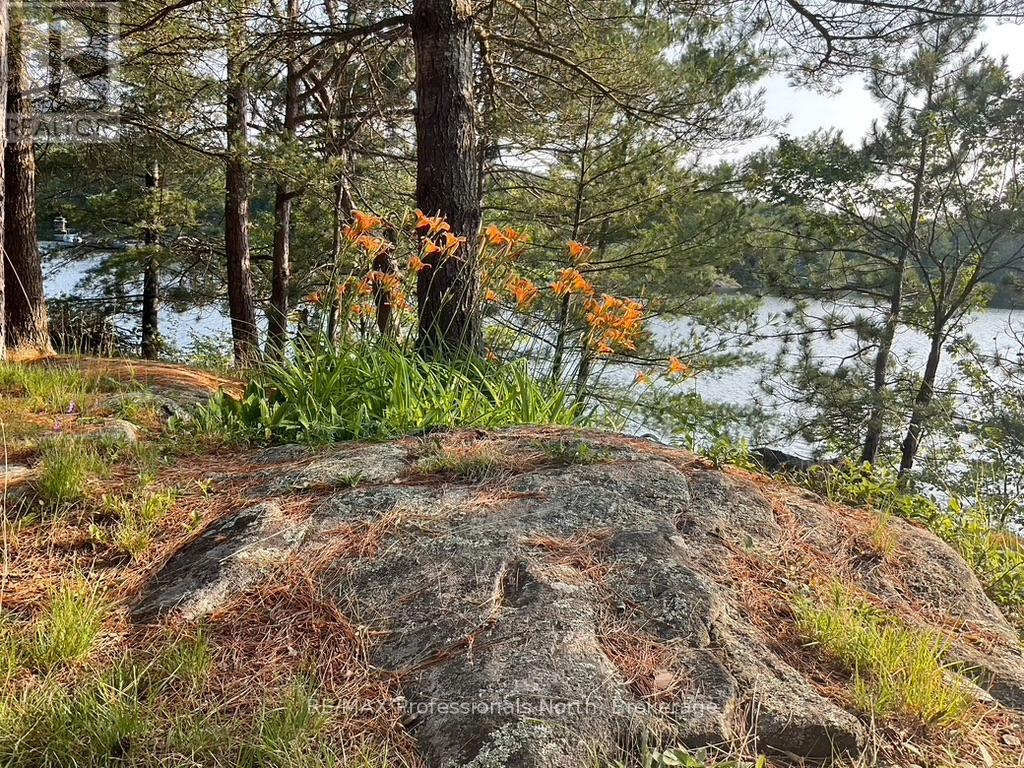 11437 Devils Lake Wao, Minden Hills, Ontario  K0M 2L1 - Photo 29 - X12229851