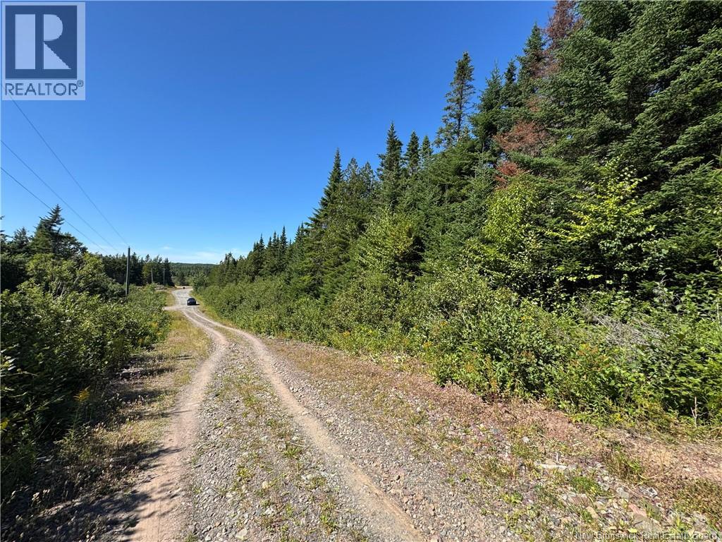 Clover Valley Road, Clover Valley, New Brunswick  E2S 1E6 - Photo 10 - NB125019
