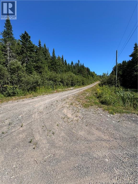 Clover Valley Road, Clover Valley, New Brunswick  E2S 1E6 - Photo 12 - NB125019