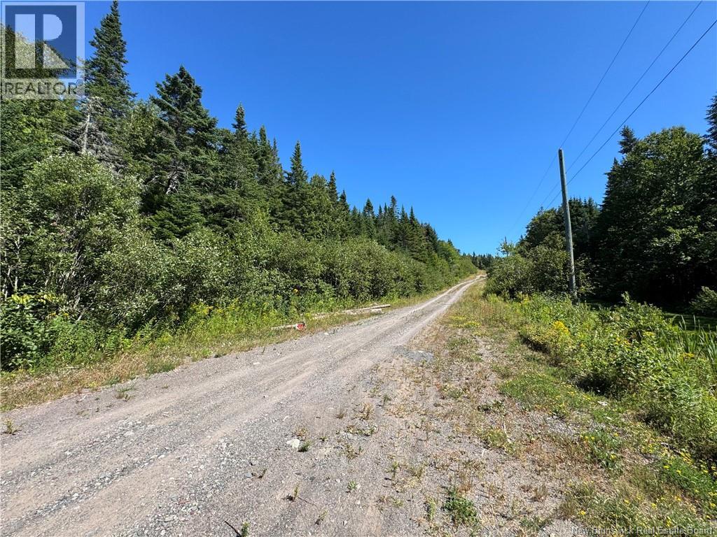 Clover Valley Road, Clover Valley, New Brunswick  E2S 1E6 - Photo 4 - NB125019