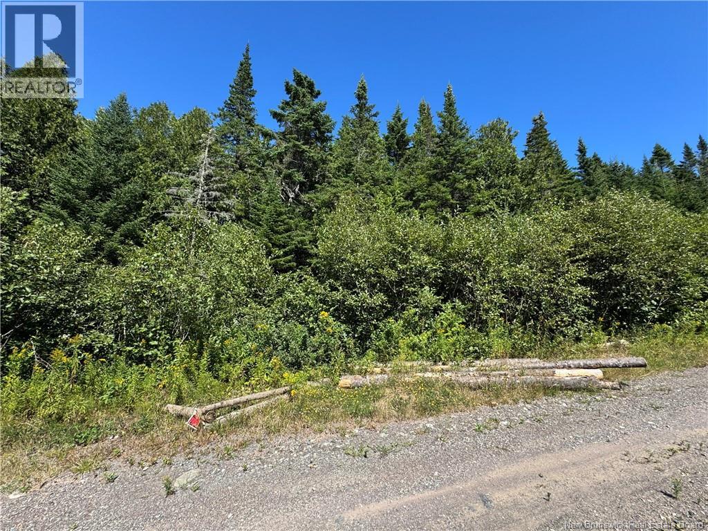 Clover Valley Road, Clover Valley, New Brunswick  E2S 1E6 - Photo 5 - NB125019