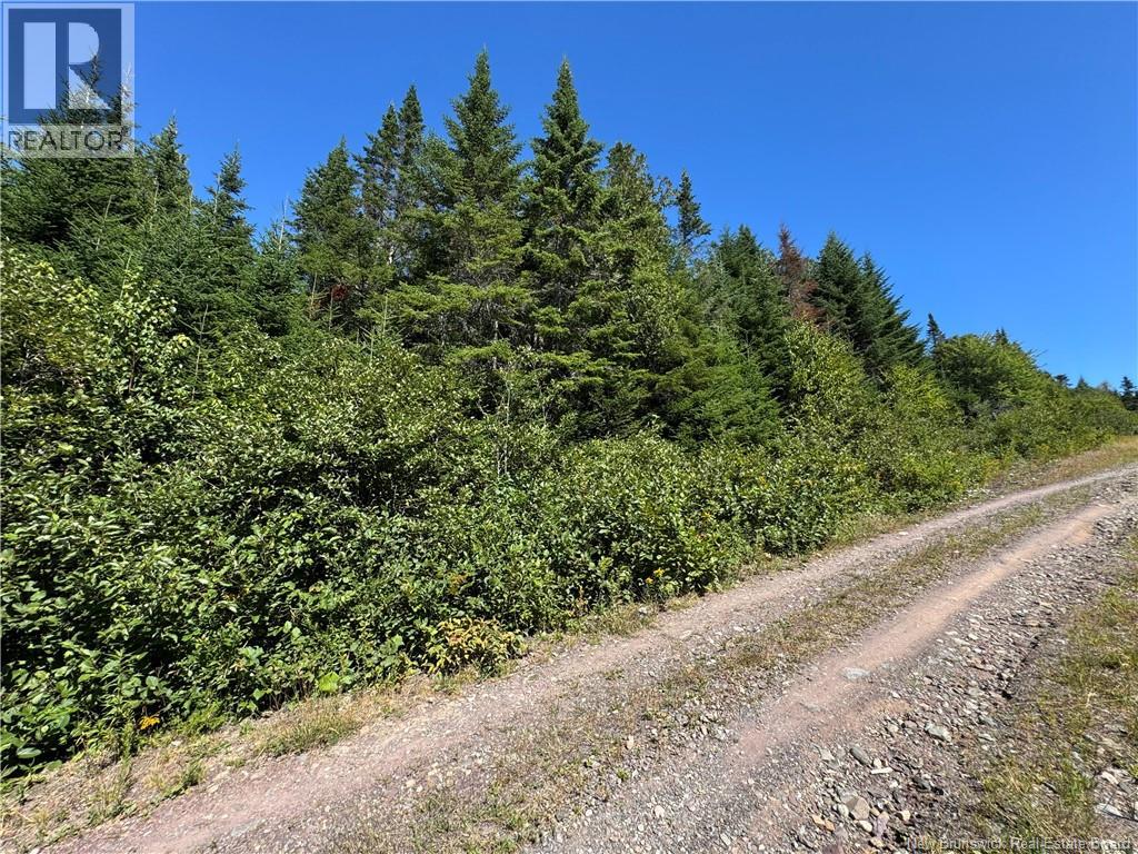 Clover Valley Road, Clover Valley, New Brunswick  E2S 1E6 - Photo 6 - NB125019