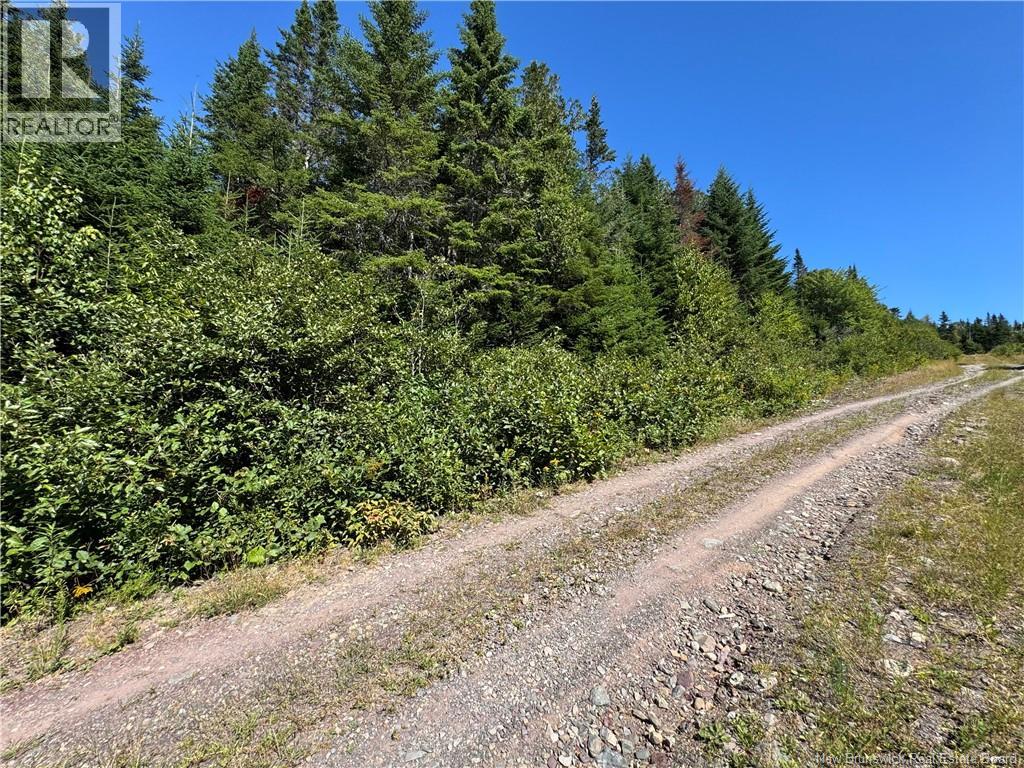 Clover Valley Road, Clover Valley, New Brunswick  E2S 1E6 - Photo 7 - NB125019