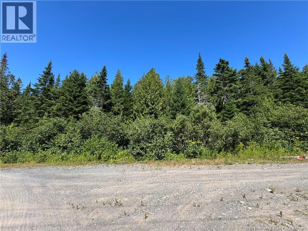 Clover Valley Road, Clover Valley, New Brunswick  E2S 1E6 - Photo 8 - NB125019