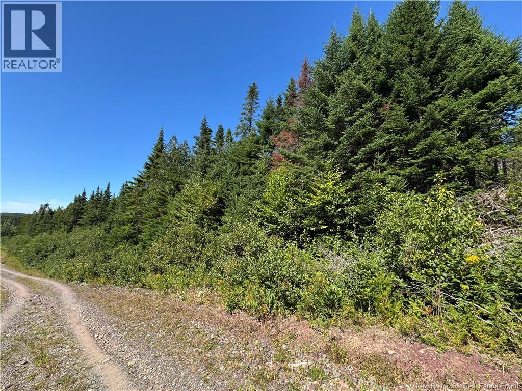 Clover Valley Road, Clover Valley, New Brunswick  E2S 1E6 - Photo 9 - NB125019