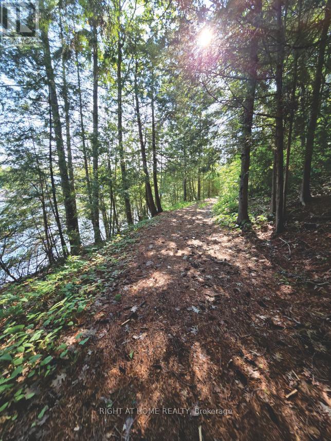 6 Bay View Court, West Nipissing, Ontario  P0H 2M0 - Photo 8 - X12254327