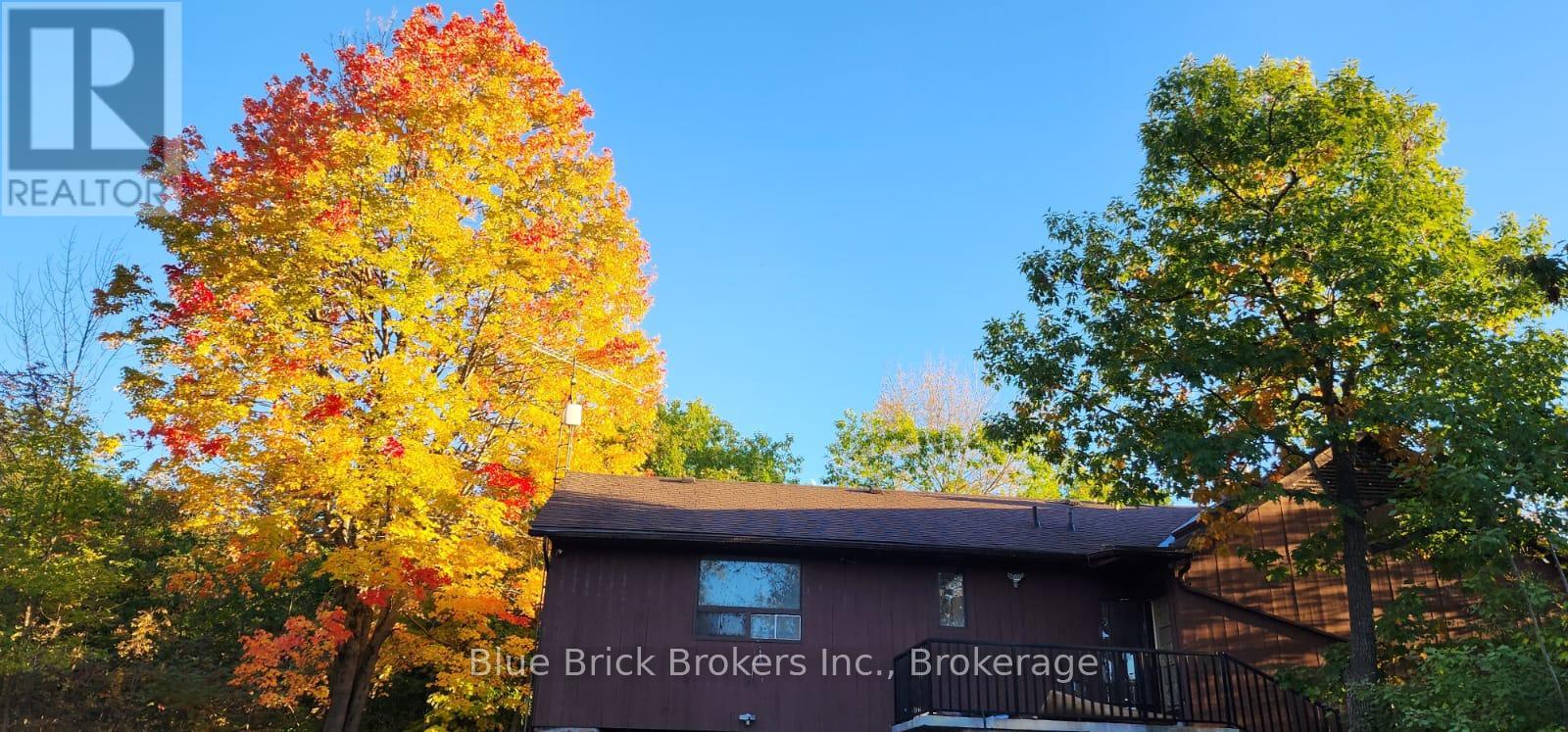 Property at 7813 RAMA ROAD image 4