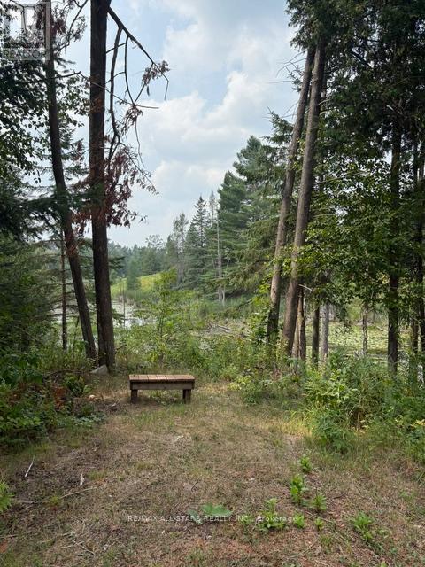 728 Galway Road, Trent Lakes, Ontario  K0M 2A0 - Photo 40 - X12349968