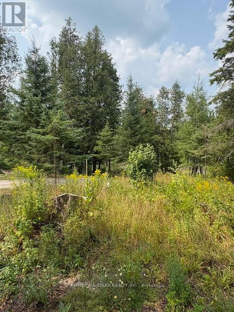 728 Galway Road, Trent Lakes, Ontario  K0M 2A0 - Photo 41 - X12349968