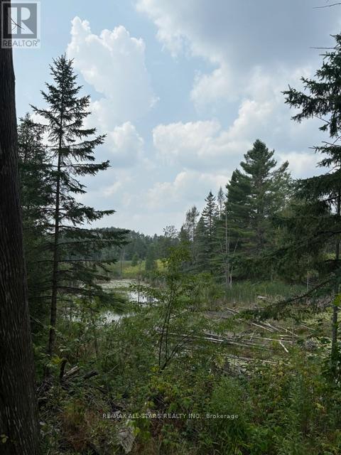 728 Galway Road, Trent Lakes, Ontario  K0M 2A0 - Photo 42 - X12349968