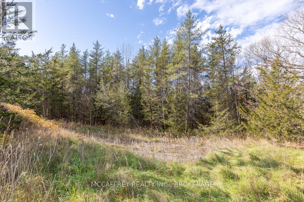Pt 12 Meach Road, Greater Napanee, Ontario  K0K 1Z0 - Photo 14 - X12350128