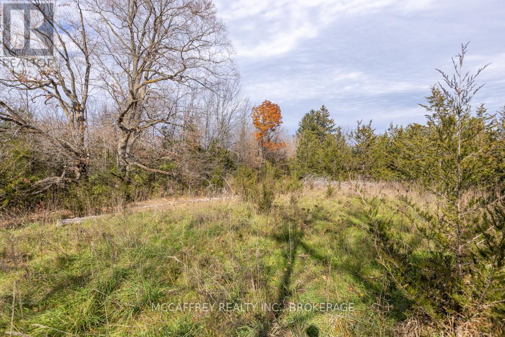 Pt 12 Meach Road, Greater Napanee, Ontario  K0K 1Z0 - Photo 15 - X12350128