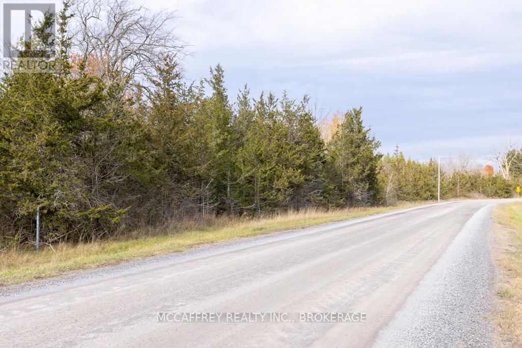 Pt 12 Meach Road, Greater Napanee, Ontario  K0K 1Z0 - Photo 3 - X12350128