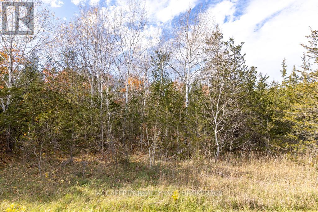 Pt 12 Meach Road, Greater Napanee, Ontario  K0K 1Z0 - Photo 5 - X12350128