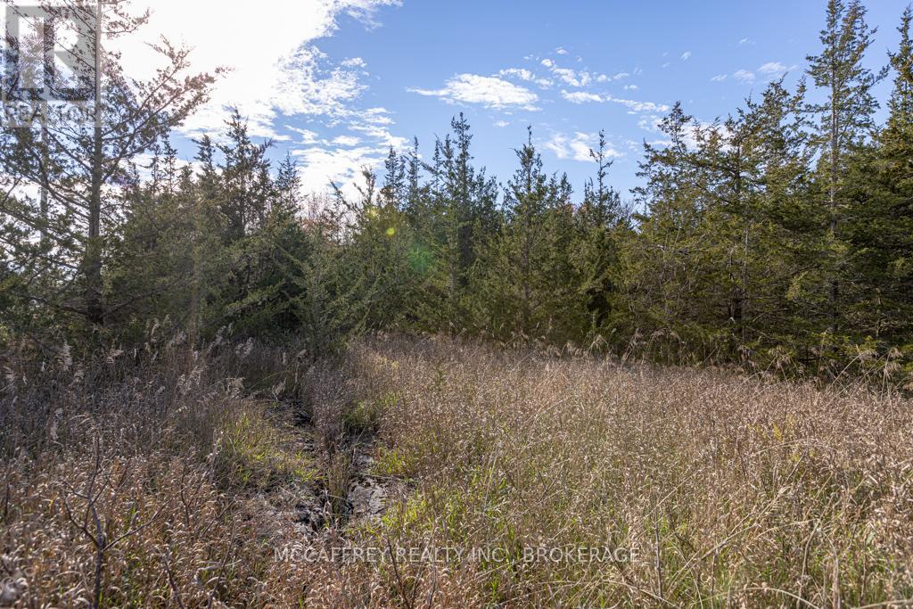 Pt 12 Meach Road, Greater Napanee, Ontario  K0K 1Z0 - Photo 6 - X12350128