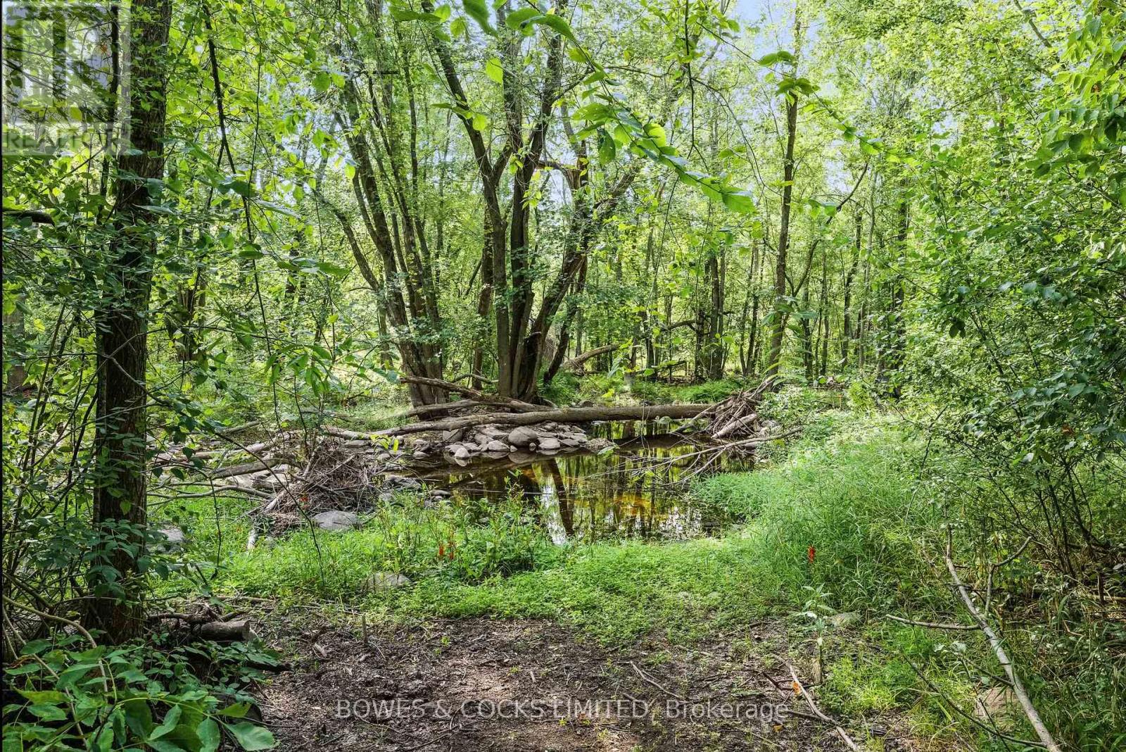 180 Riverside Drive, Trent Hills, Ontario  K0L 1L0 - Photo 11 - X12350015