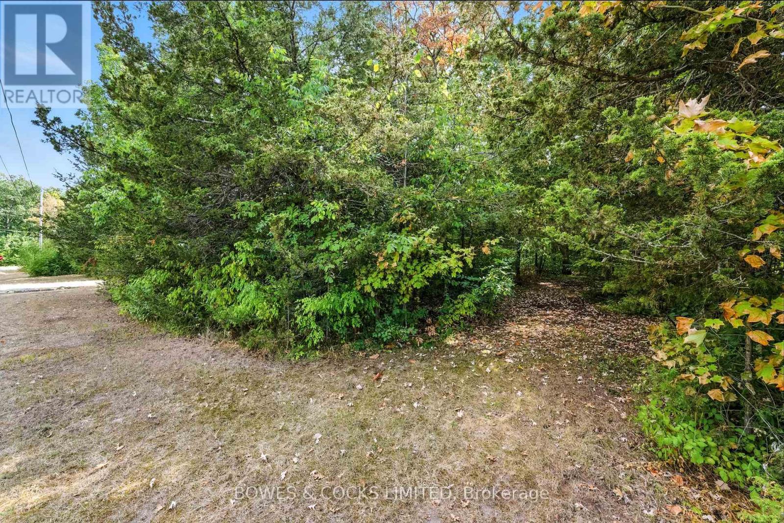 180 Riverside Drive, Trent Hills, Ontario  K0L 1L0 - Photo 13 - X12350015