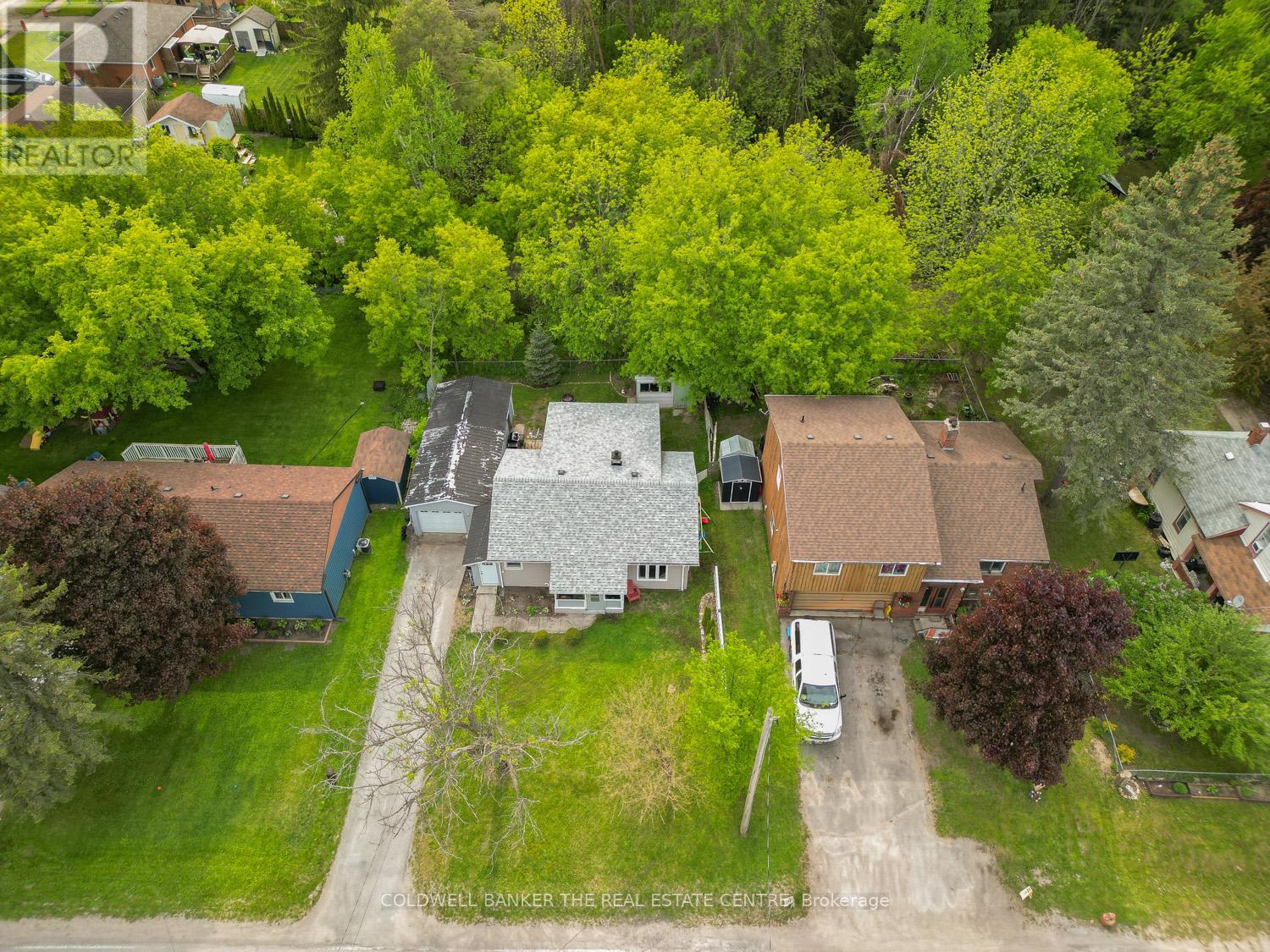 Property at 119 ELIZABETH STREET image 1