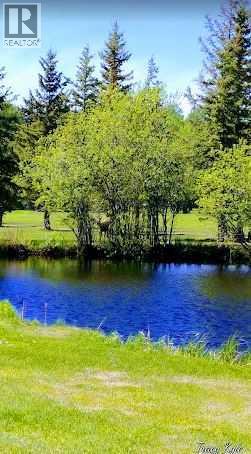 703064b Range Road 82, Wembley, Alberta  T0H 3S0 - Photo 8 - A2075881