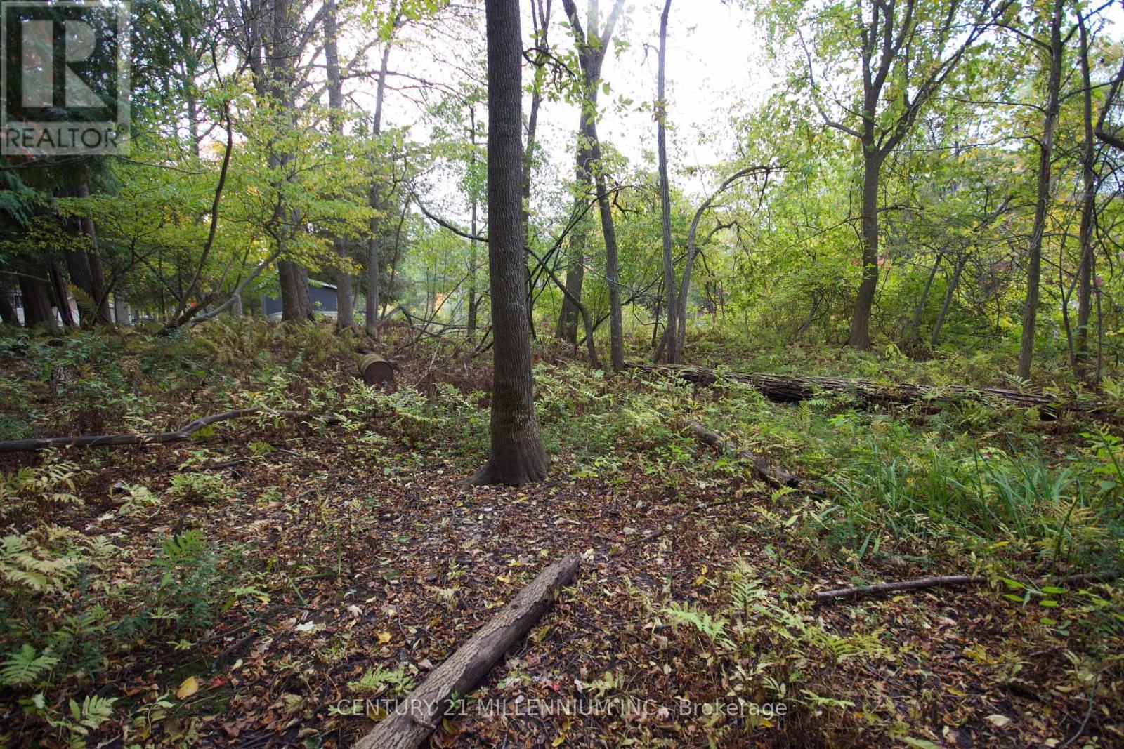 11 Knox Road E, Wasaga Beach, Ontario  L9Z 2T6 - Photo 9 - S12350005