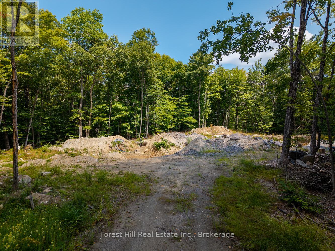 1028 Bruce Lake Drive, Muskoka Lakes, Ontario  P0B 1J0 - Photo 9 - X12350196