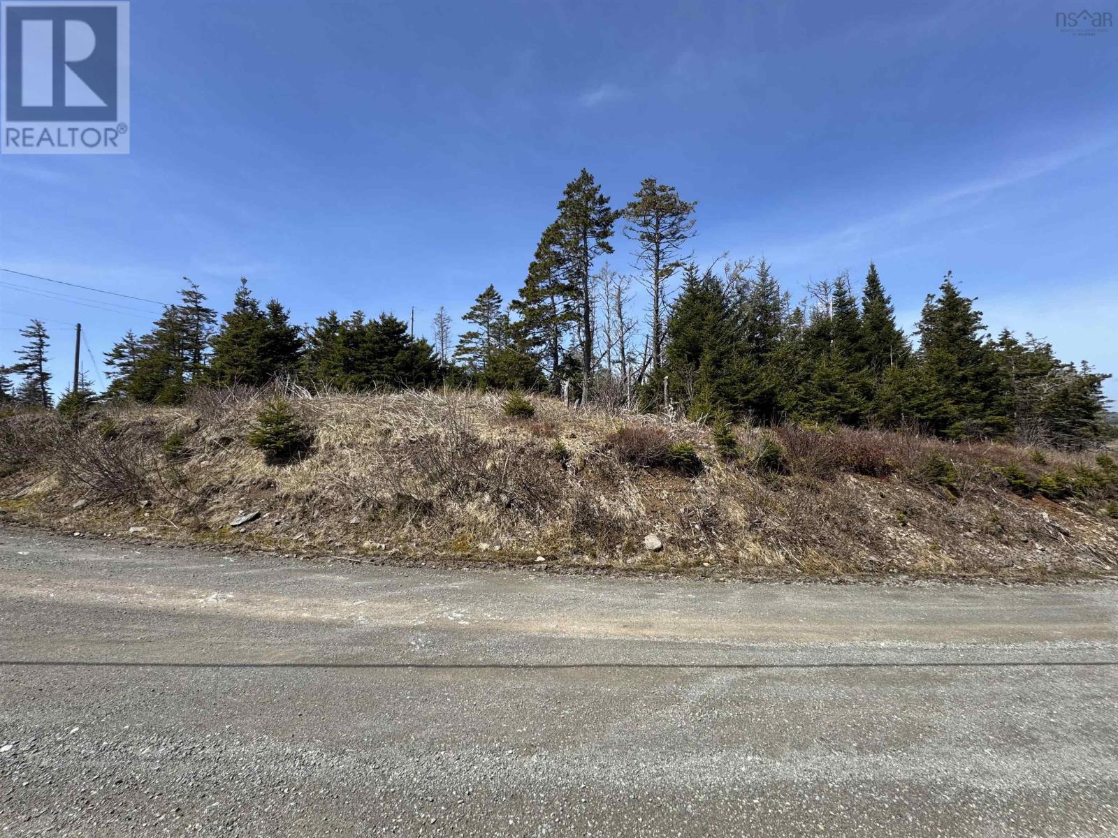96 Clannon Road, Little Harbour, Nova Scotia  B0E 1W0 - Photo 4 - 202520904