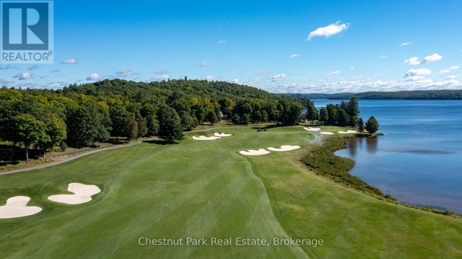 66 Bigwin Island, Lake Of Bays, Ontario  P0B 1A0 - Photo 11 - X12350285