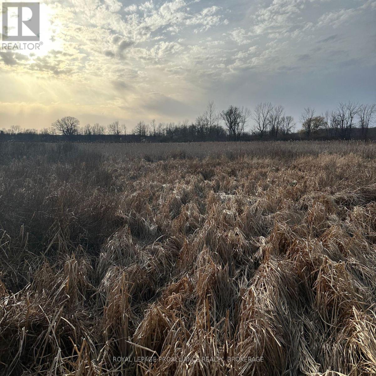 68 3rd Concession Road, Frontenac Islands (The Islands), Ontario  K0H 2S0 - Photo 1 - X12350363