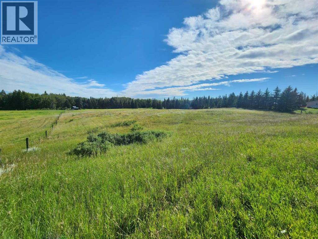 256 Briar Road, Rural Lacombe County, Alberta  T0M 0J0 - Photo 8 - A2249512