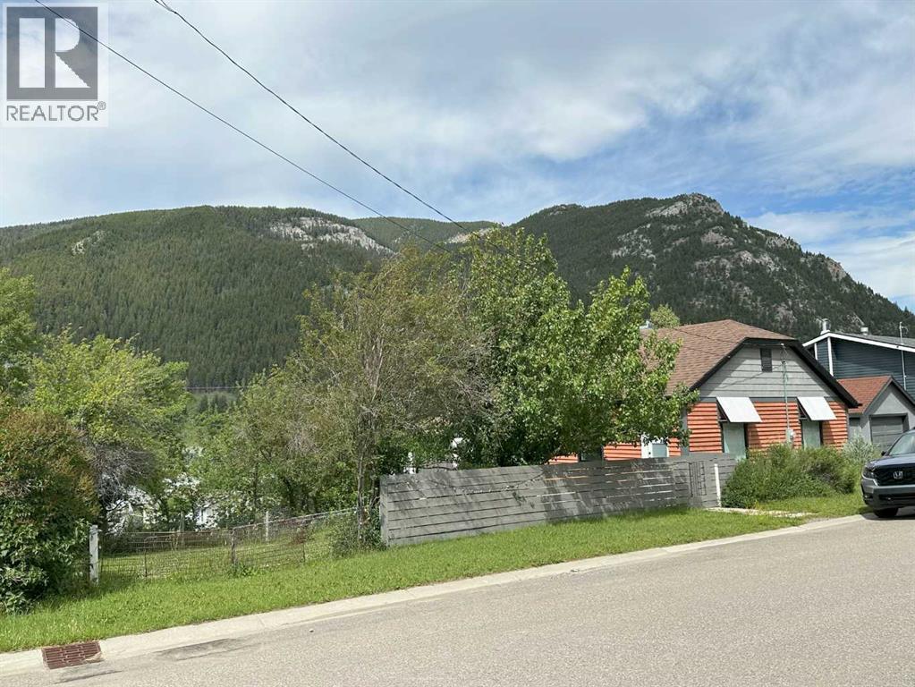13441 17 Avenue, Blairmore, Alberta  T0K 0E0 - Photo 14 - A2238542