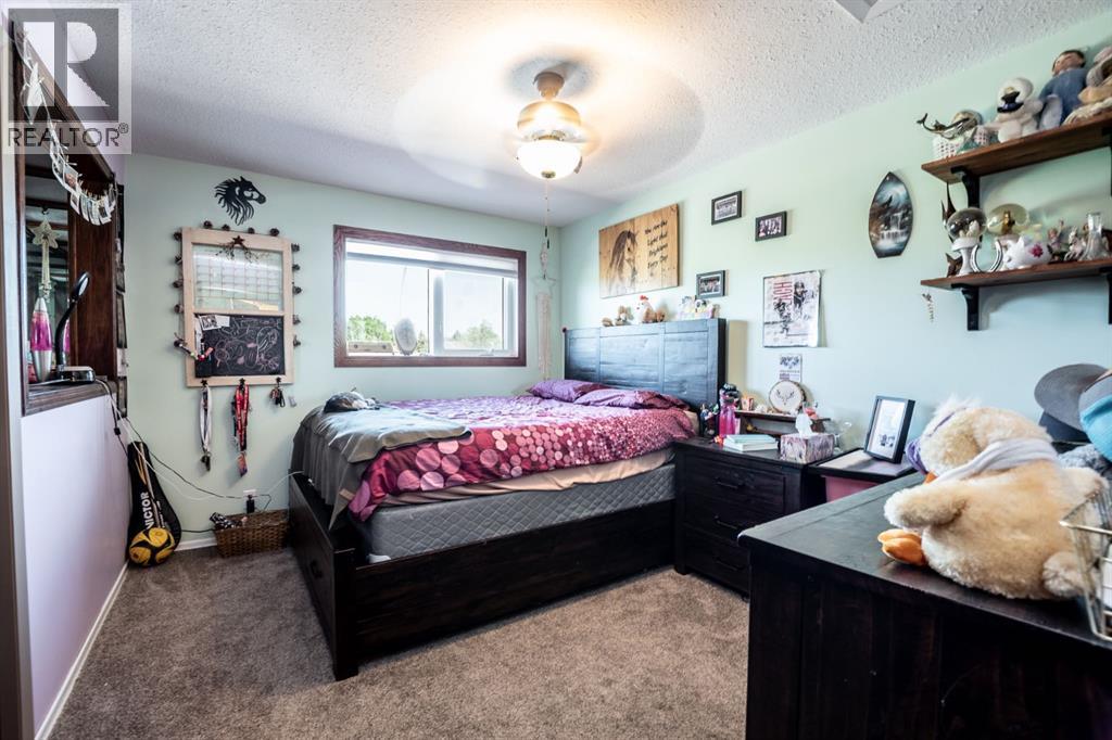 911 12 Street Se, High River, Alberta  T1V 1L2 - Photo 26 - A2247945