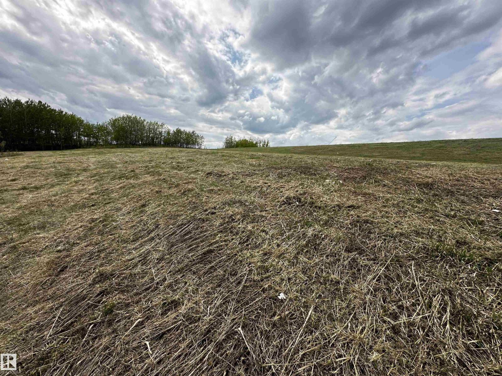 #31 53120 Rge Road 15, Rural Parkland County, Alberta  T0E 0H0 - Photo 2 - E4453504
