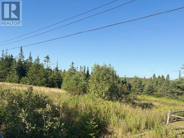131 Markland Road, Markland, Newfoundland & Labrador  A0B 3K0 - Photo 2 - 1289327