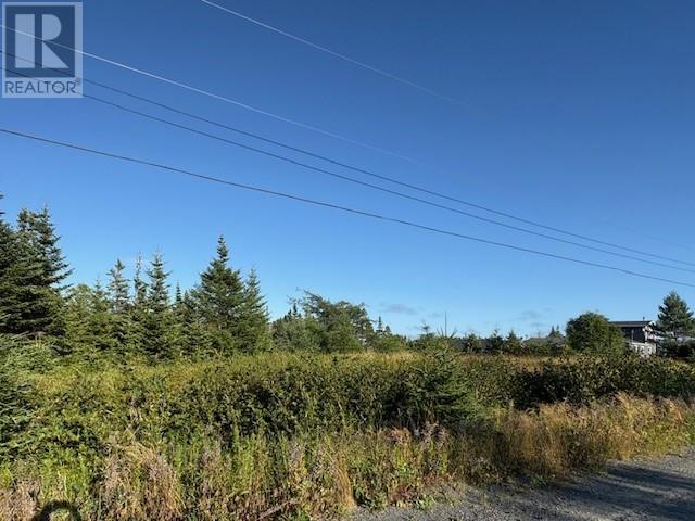 131 Markland Road, Markland, Newfoundland & Labrador  A0B 3K0 - Photo 3 - 1289327