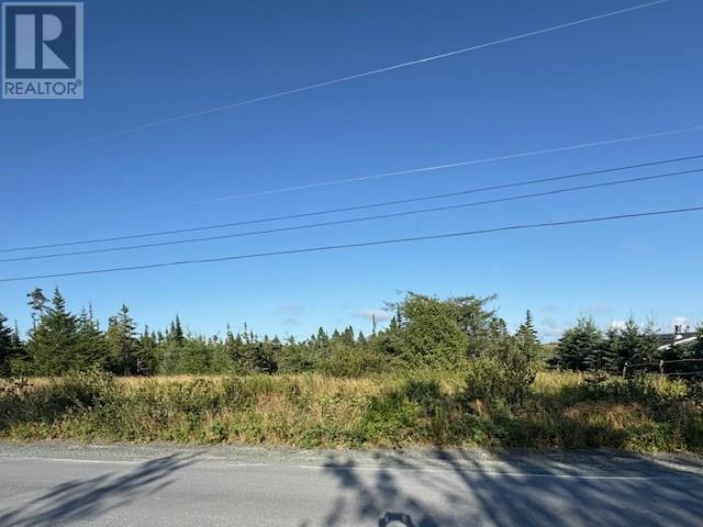 131 Markland Road, Markland, Newfoundland & Labrador  A0B 3K0 - Photo 4 - 1289327