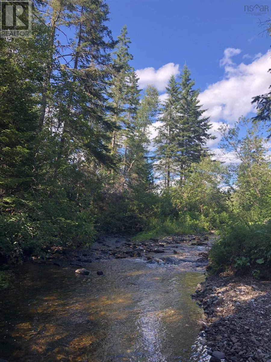 1625 Station Road, Londonderry, Nova Scotia  B0M 1M0 - Photo 49 - 202516980