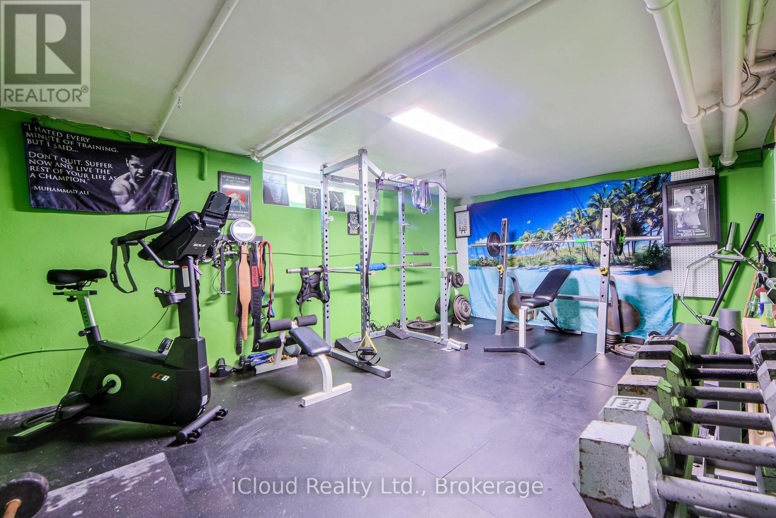 447 Simcoe Street N, Oshawa, Ontario  L1G 4T8 - Photo 49 - E12287403