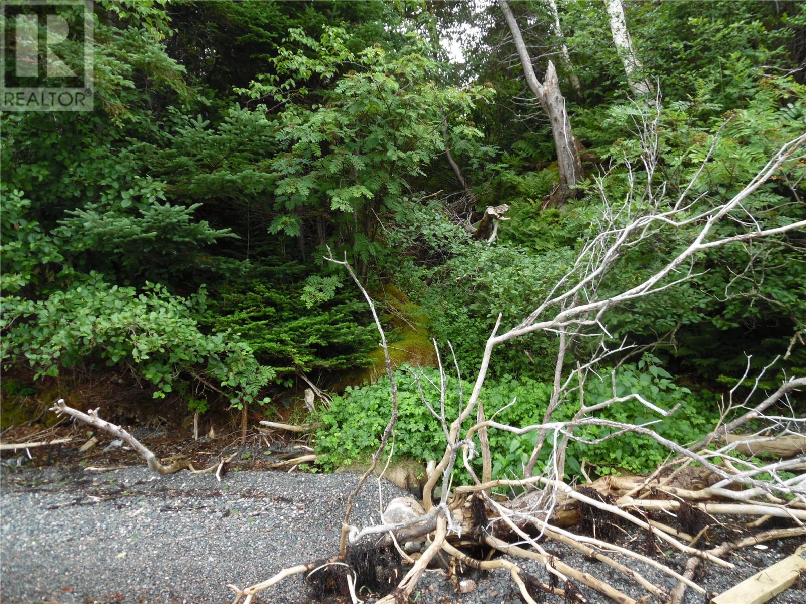 0 Main Road, Queens Cove, Newfoundland & Labrador  A0E 2A0 - Photo 3 - 1289332