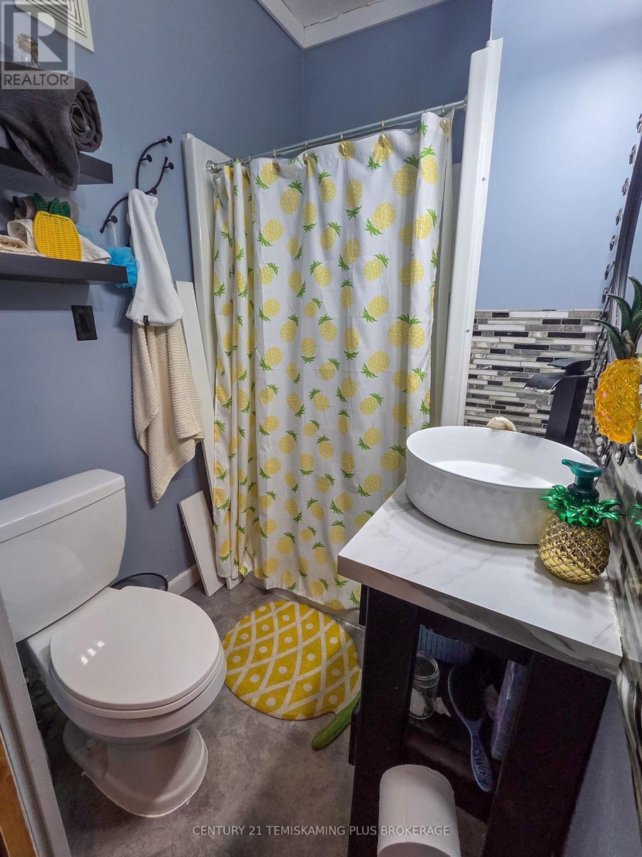 45 6th Avenue, Englehart, Ontario  P0J 1H0 - Photo 15 - T12350601