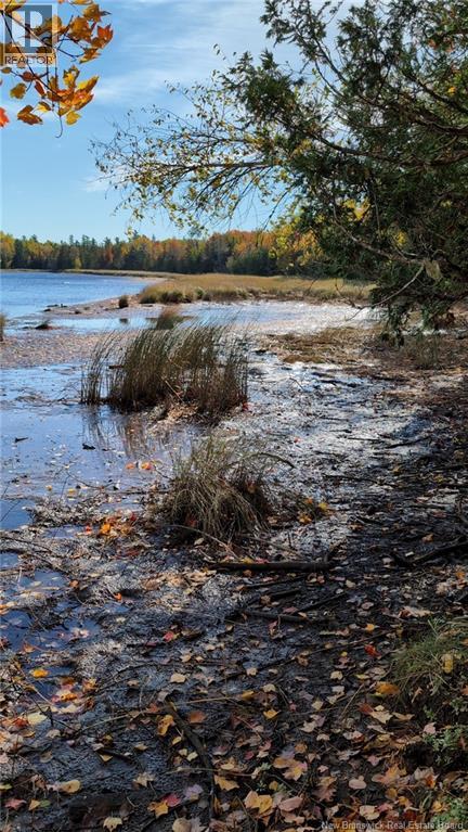 Lot Auburnville Road, Hardwicke, New Brunswick  E1N 5P3 - Photo 4 - NB116880