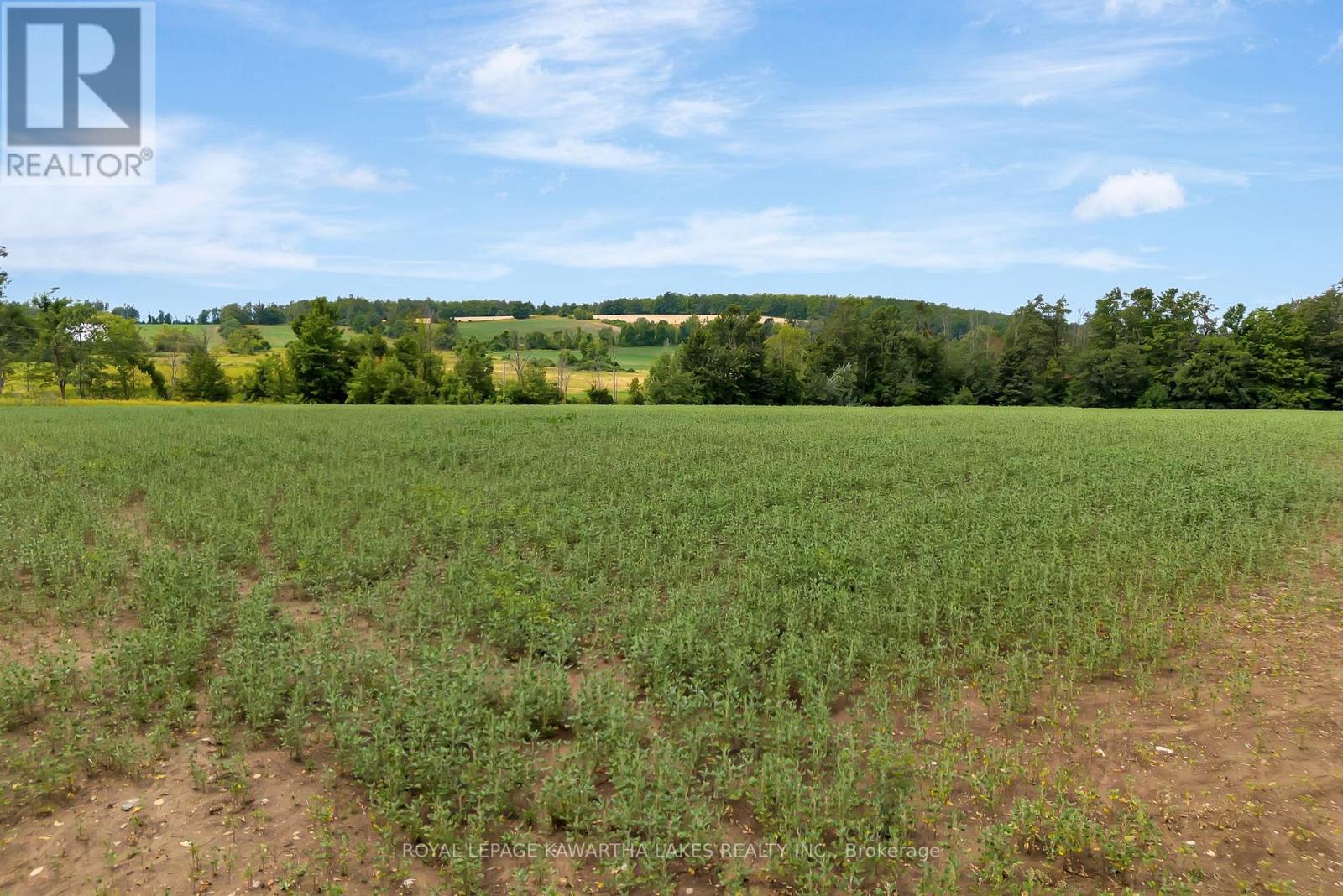 1707 Blezard Line E, Otonabee-South Monaghan, Ontario  K0L 2B0 - Photo 21 - X12350598
