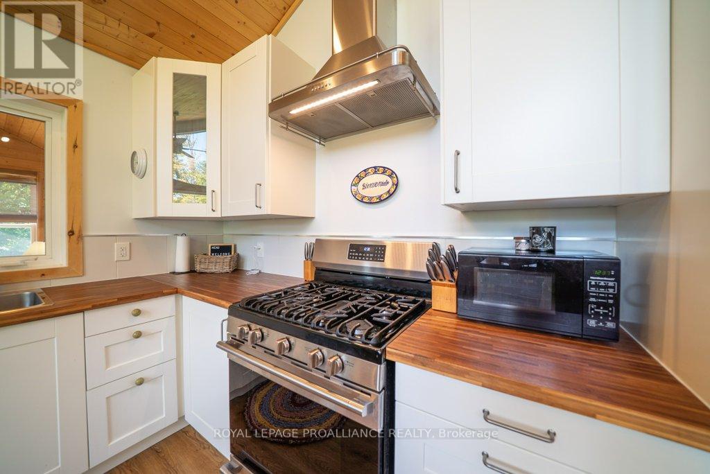 1053c Granite Terrace Lane, North Frontenac, Ontario  K0H 2J0 - Photo 15 - X12350623